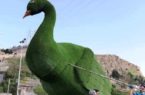 طاووس دروازه قرآن بازگشت