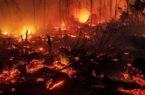 خسارات آتش‌سوزی استرالیا ۲ میلیارد دلار برآورد شد