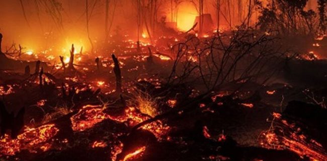 خسارات آتش‌سوزی استرالیا ۲ میلیارد دلار برآورد شد