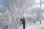 ..سرما در استان کردستان رکورد ۳۰ ساله را شکست..