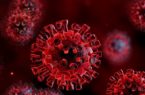 آیا ویروس کرونا ۲ منشأ متفاوت دارد؟!