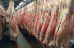 قیمت منطقی هر کیلو گوشت گوسفندی ۸۰ هزار تومان است