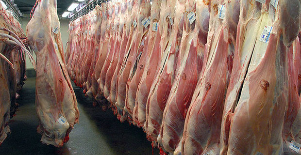 قیمت منطقی هر کیلو گوشت گوسفندی ۸۰ هزار تومان است