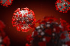 ویروس کرونا سلول‌های روده را هم آلوده می‌کند
