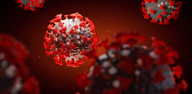 ویروس کرونا سلول‌های روده را هم آلوده می‌کند
