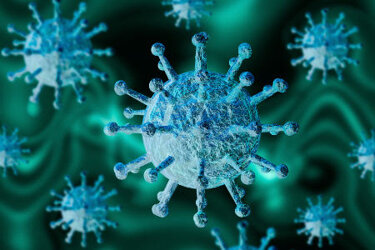 شروع پیک ویروس کرونا در ۱۵ استان کشور