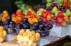تفاوت های عجیب قیمت میوه از شمال تا جنوب پایتخت