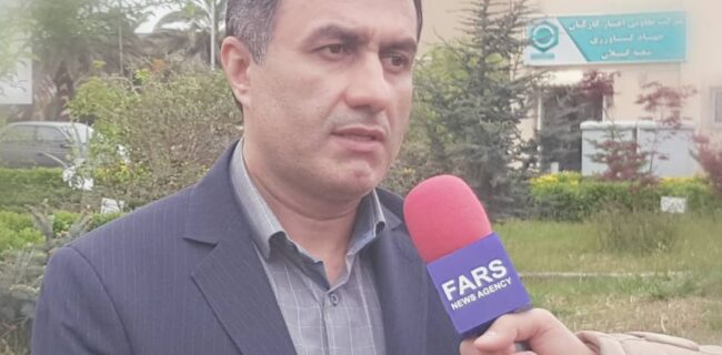 آماده سازی شالیکوبی های گیلان برای تولید برنج تازه آماده سازی شالیکوبی های گیلان برای تولید برنج تازه
