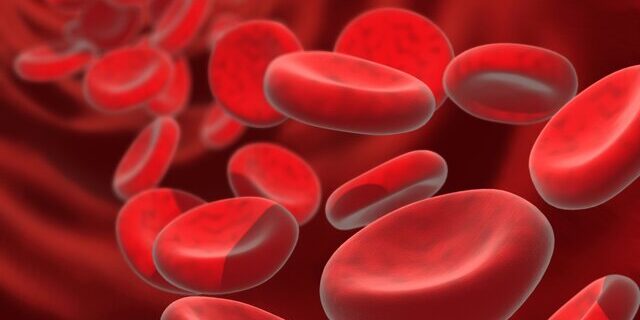 کنترل سطح آهن خون می‌تواند به افزایش طول عمر کمک کند