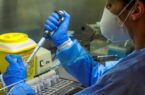 شناسایی سلول‌های ایمنی مصون در برابر ویروس کرونا