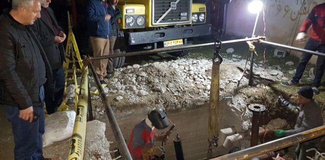 عملیات ساقه بلند کردن شیرهای حوضچه ای در استان گیلان پایان یافت