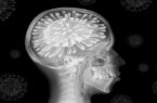 تأثیرات مخرب ویروس کرونا بر مغز و راهکار‌هایی ساده برای جلوگیری