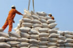 اعمال ممنوعیت واردات برنج با یک استثنا برای ترخیص