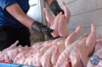 گوشت مرغ به نرخ مصوب در استان گیلان توزیع می‌شود