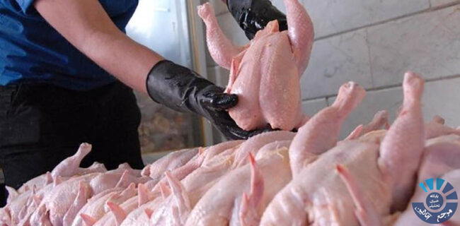 گوشت مرغ به نرخ مصوب در استان گیلان توزیع می‌شود