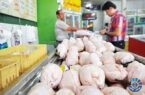 ثبات قیمت در بازار مرغ؛ نرخ هر کیلو مرغ ۱۹ هزار تومان است