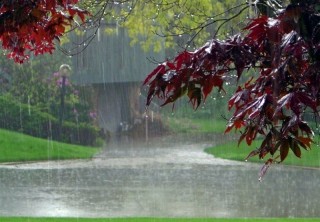 میانگین بارش ۵۰ میلی متری باران در استان گیلان