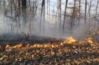 آتش‌سوزی در اراضی ملی ماسال به‌طور کامل مهار شد