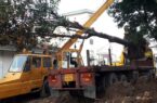 انتقال درخت کهنسال مگلونیا به بوستان گیلانه به روش روتبال