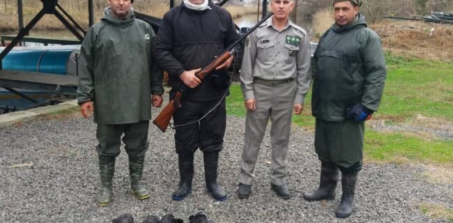 شکارچی متخلف و حرفه ای به همراه یک سلاح  غیر مجاز و  لاشه ‌۳۵ قطعه پرنده در انزلی دستگیر  شد