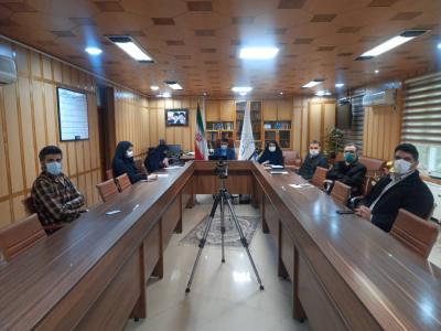 فرماندار رشت از فعالین نمومه زراعت چوب شهرستان تجلیل کرد