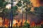 وقوع ۲۷ فقره حریق در جنگل های گیلان/ اطفای کامل آتش تا ساعت یک بامداد