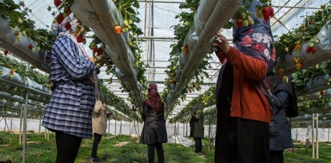 موافقت مجلس با اختصاص۲ هزار میلیاردی برای برقی شدن چاه‌های کشاورزی