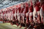 تولید بیش از ۲۸ هزار تن گوشت قرمز در استان گیلان