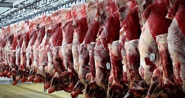 تولید بیش از ۲۸ هزار تن گوشت قرمز در استان گیلان