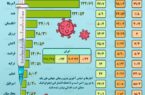 بیشترین میزان واکسیناسیون کرونا در جهان تا ۱۰ اردیبهشت
