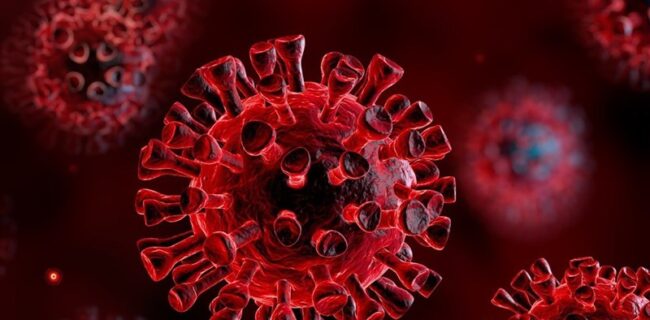 آنتی‌بادی خون مبتلایان خفیف ویروس کرونا تا پایان عمر باقی می‌ماند!