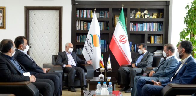 باید از پتانسیل های بنادر انزلی و کاسپین در مسیر هم افزایی استفاده شود