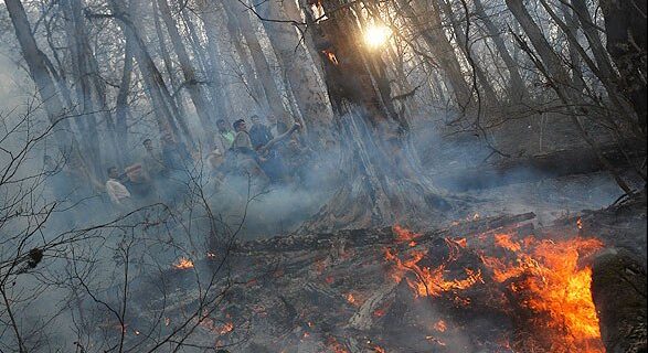 اطفای ۲۶۰ فقره آتش سوزی در مناطق جنگلی زاگرس و جنوب کشور