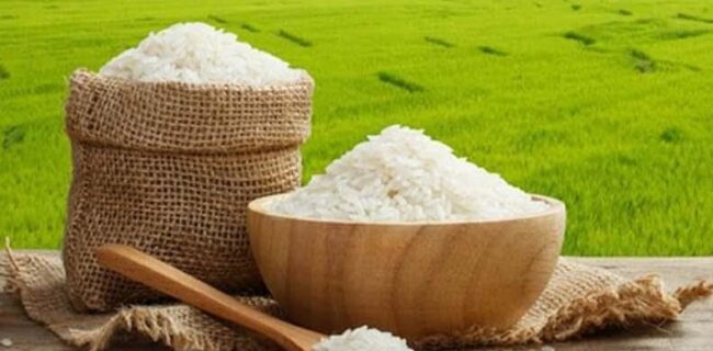 اقدامی موثر برای کاهش هزینه تولید برنج در گیلان اقدامی موثر برای کاهش هزینه تولید برنج در گیلان