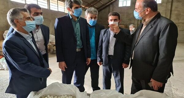 ایجاد ۴۰ درصد اشتغال خالص کشور توسط کمیته امداد ایجاد ۴۰ درصد اشتغال خالص کشور توسط کمیته امداد