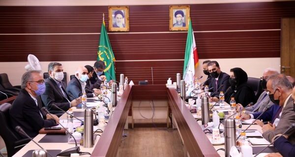 همکاری ایران و اقلیم کردستان عراق برای تبادل دانش فنی دامپروری و صادرات محصولات دامی