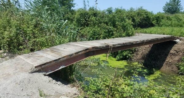 پل‌های غیرمجاز بر پهنه تالاب انزلی تخریب شد