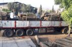 کشف ۵ کامیون چوب قاچاق در لوشان