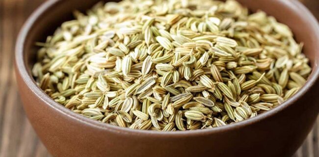 بررسی عوارض مصرف گیاه رازیانه