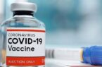 تحویل ۷۰۰ هزار دوز واکسن پاستوکووک به وزارت بهداشت تا آخر شهریور