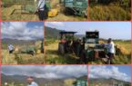 وضعیت تولید کاه و کلش در زراعت برنج استان گیلان -۱۴۰۰