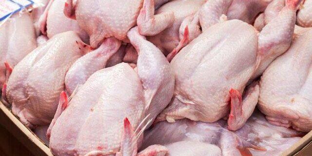 کشف محموله ۱۱ تنی ضایعات مرغ فاسد هنگام ورود به آستارا