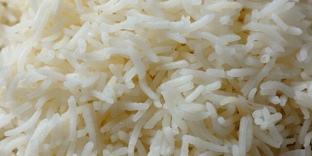 برداشت گرانترین برنج گیلان رو به اتمام است برداشت گرانترین برنج گیلان رو به اتمام است