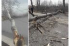 خسارت ۲۰ میلیارد ریالی طوفان و تند باد به شبکه های توزیع برق استان گیلان