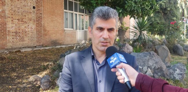 پیش بینی ۳ برابری برداشت زیتون در رودبار پیش بینی ۳ برابری برداشت زیتون در رودبار