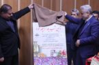 شب یلدا نماد نشاط اجتماعی مردم ایران حول محور خانواده است