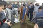 مراسم روز درختکاری در منطقه آزاد انزلی برگزار شد