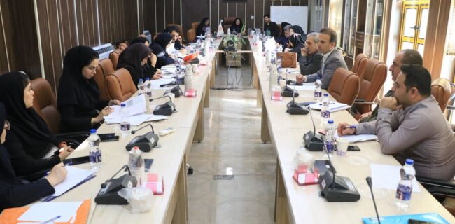 برگزاری نشست هم اندیشی کارشناسان مسکن بهزیستی استان گیلان