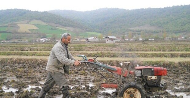شخم اولیه ۱۰ درصد شالیزارهای گیلان