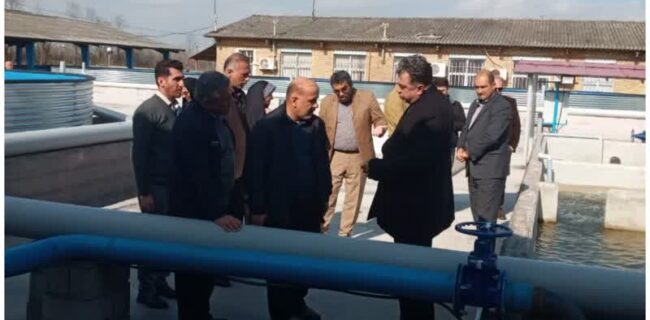 آماده‌سازی مراکز بازسازی ذخایر آبزیان شیلات استان برای فصل جدید